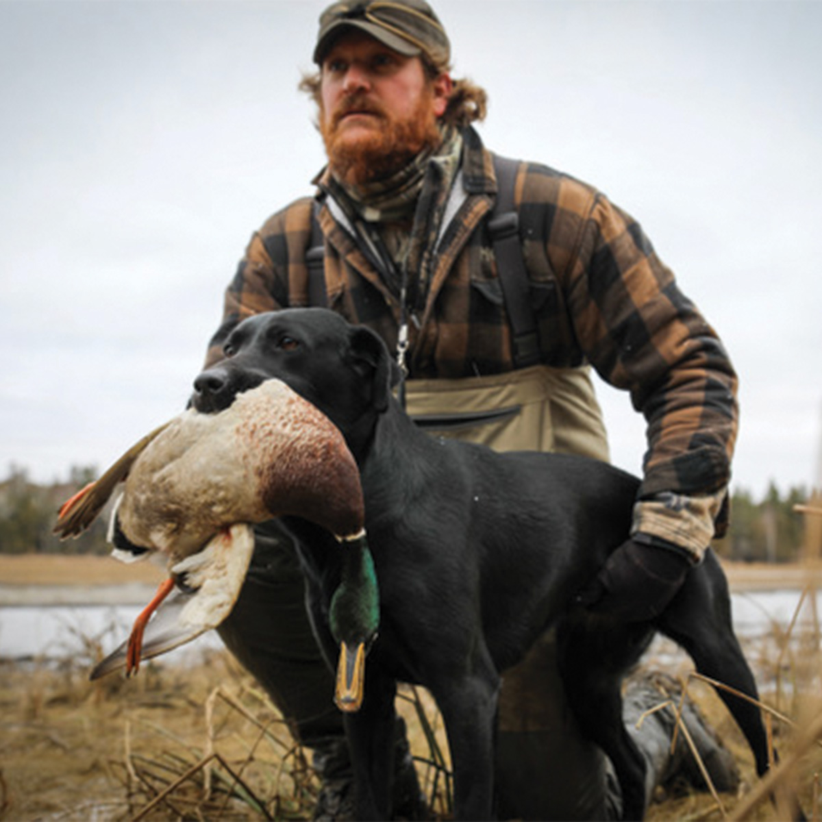 Jeremy Moore with Labrador retriever.jpg